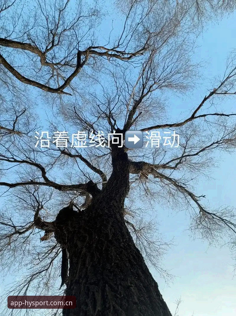 幻影体育新手教程 幻影体育新手教程最新消息:2024年入门指南与数据解析助你快速上手